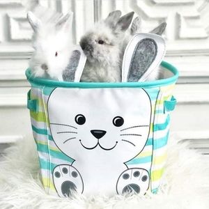 *NEW* Thirty-One Mini Storage Bin - Perfect Easter Basket